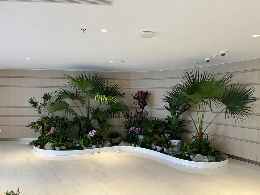 宁波余姚花卉租赁，热门之选打造魅力空间